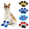 Winter Socks for Dogs | DOGI PUPPY